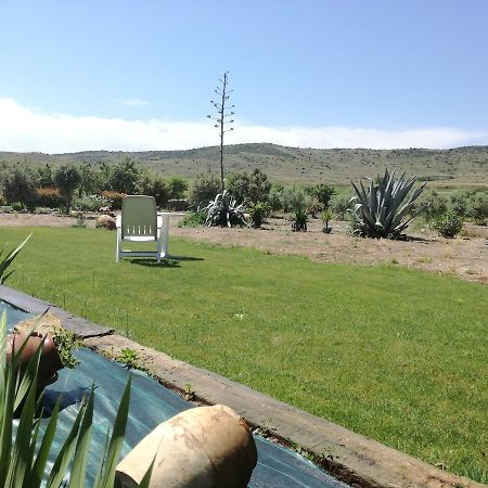 Casa Los Olivos Grávalos 외부 사진