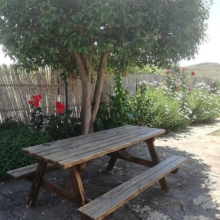 Casa Los Olivos Grávalos 외부 사진