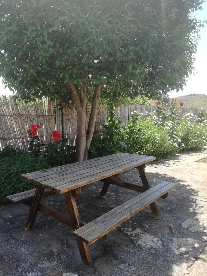 Casa Los Olivos Grávalos 외부 사진